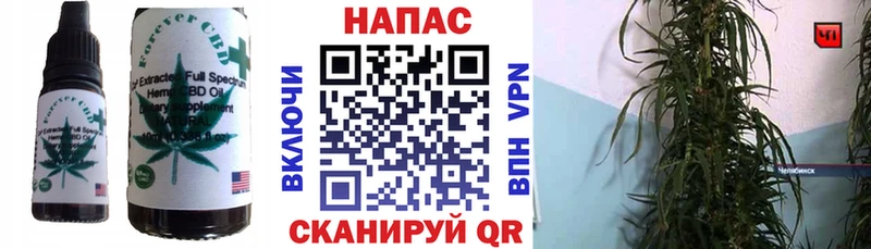 Cannafood марихуана  Змеиногорск 