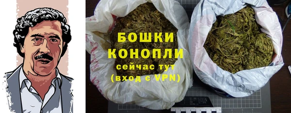 твердый Абаза