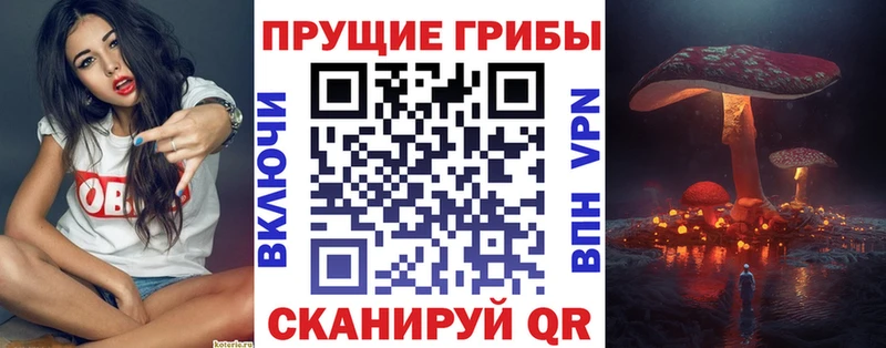 где найти наркотики  Змеиногорск  Псилоцибиновые грибы прущие грибы 
